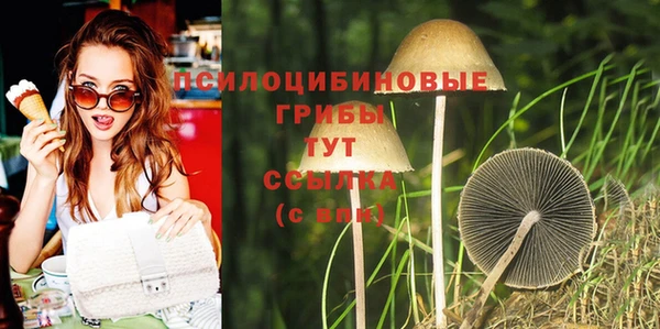 винт Бугульма