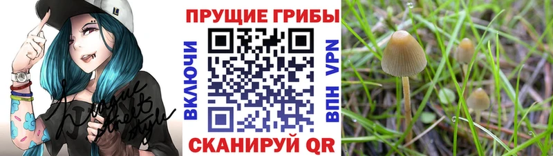 Псилоцибиновые грибы MAGIC MUSHROOMS  Севастополь 